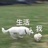 饮多D滚水