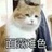 油油不打滑
