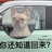 江湖骗子