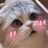 携来天地