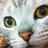 emily1229