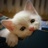 Lady_A