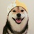 独孤求喵