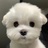 👑井口理理子