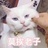 戒不了咖啡555
