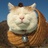 喵喵喵🐱