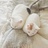 mitty