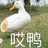 十六夜