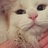 我的猫叫涨工资