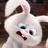 hjcawrs