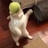 Limone
