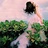 anna_telle