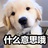 江湖骗子