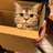 失眠痛苦