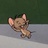 Neverfull