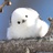 山雀