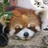 红茶拿铁