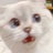 迪士尼在逃猫咪