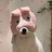 Shelly_05