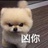 论文写完了吗