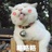 略略略
