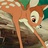 Roo