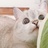 熊猫饲养员27号