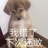 江湖骗子