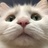 一头猫