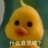 什莫易斯鸭