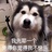 小小马甲