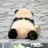 🐼