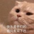 可爱又迷人