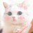 圆筒