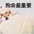 遥远的叶子