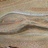 Jabbacado