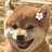Aimatokoyk