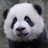绩憨憨