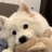 韩絮柯