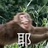 先有骚猪后有天