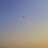 秘密秘秘秘