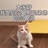 Lily.L