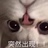一根辣条