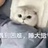 暖毯