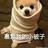 乱吐口水