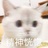 抹茶麻团儿