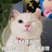 田螺小王子