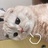 喵了个喵🐱