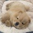 AlmostLover_