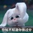 林保怡女友粉